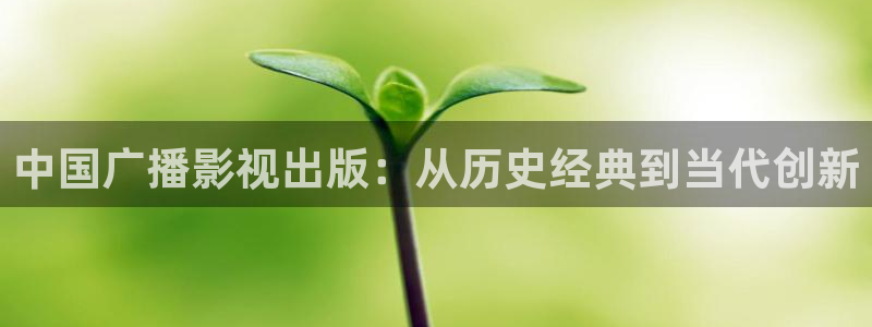 木瓜影視電視劇：中國廣播影視出版：從歷史經典到當代創新